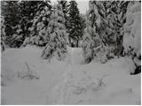 Na kopiš - Planina Spodnja Konjščica